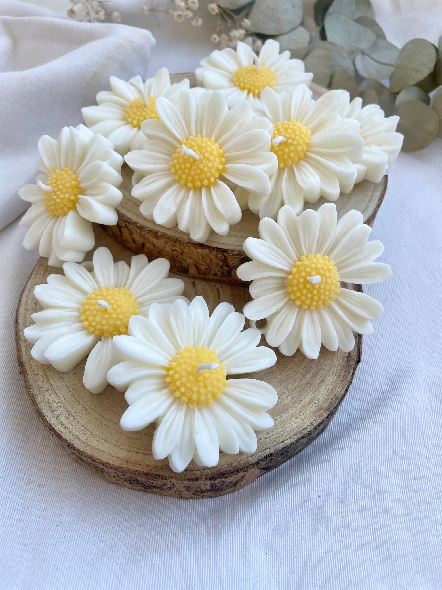 Vela Margarita - KānaraSoy.com